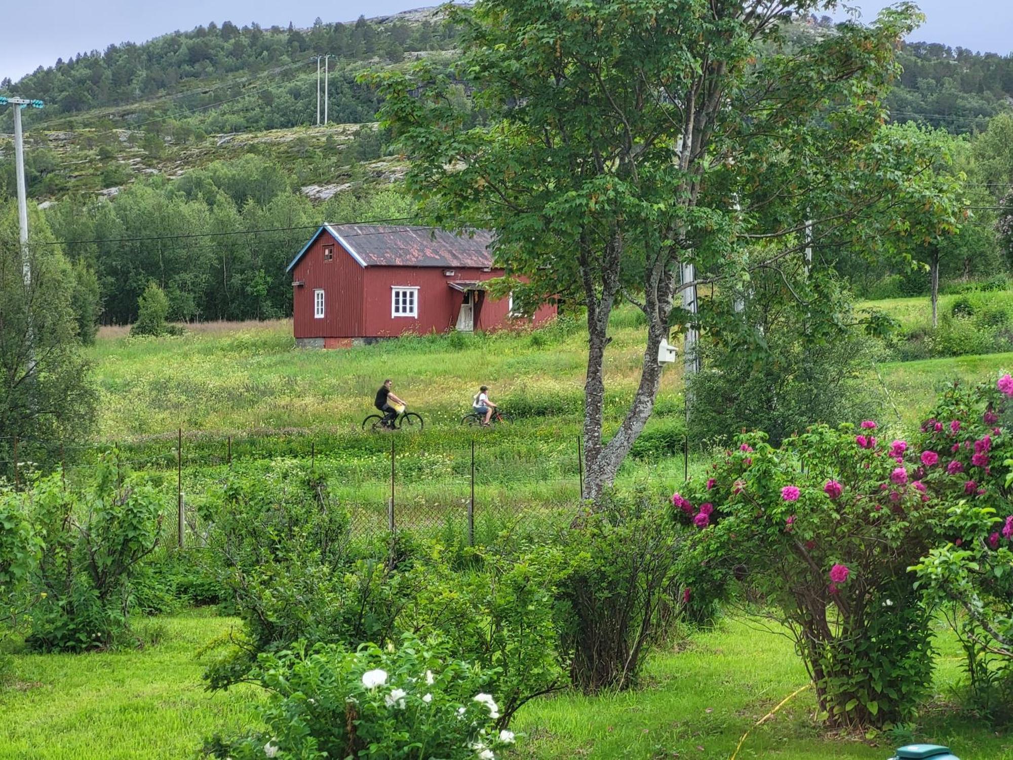 فيلا Paul'S House Saltstraumen المظهر الخارجي الصورة